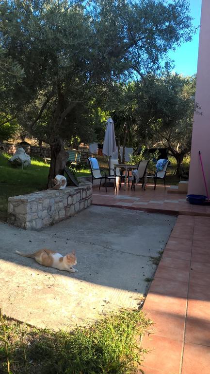 Ktima Tzamika Leilighet Episkopi-Chania Eksteriør bilde