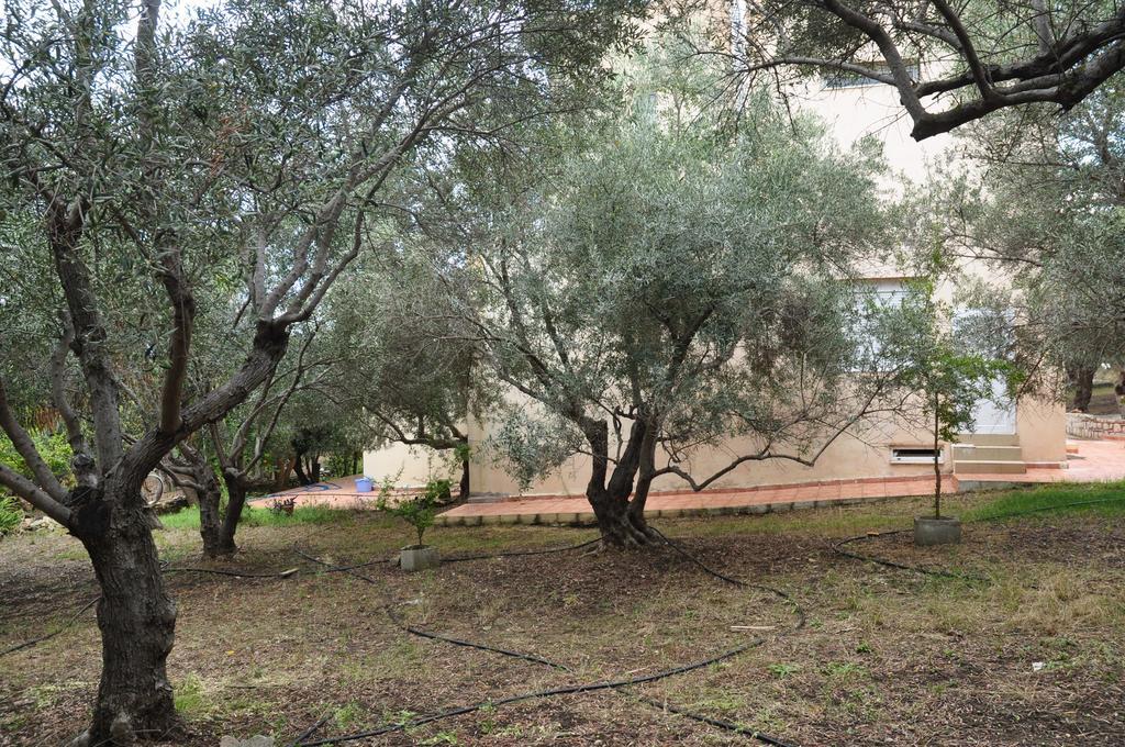 Ktima Tzamika Leilighet Episkopi-Chania Eksteriør bilde